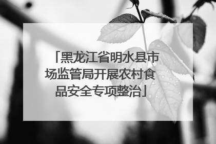黑龙江省明水县市场监管局开展农村食品安全专项整治