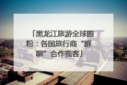 黑龙江旅游全球圈粉：各国旅行商“群聊”合作揽客