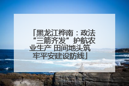 黑龙江桦南：政法“三箭齐发”护航农业生产 田间地头筑牢平安建设防线