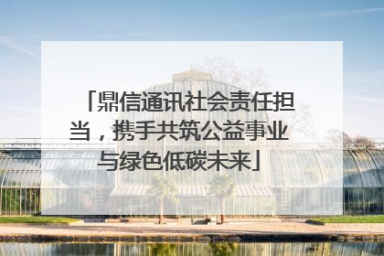 鼎信通讯社会责任担当，携手共筑公益事业与绿色低碳未来