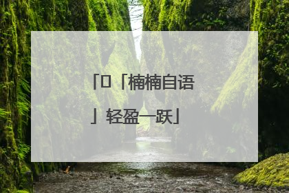 ﻿「楠楠自语」轻盈一跃