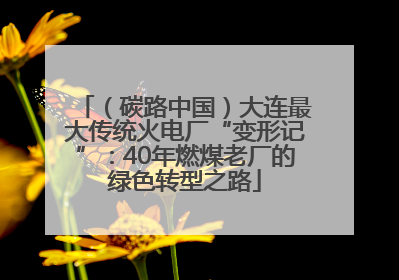（碳路中国）大连最大传统火电厂“变形记”：40年燃煤老厂的绿色转型之路