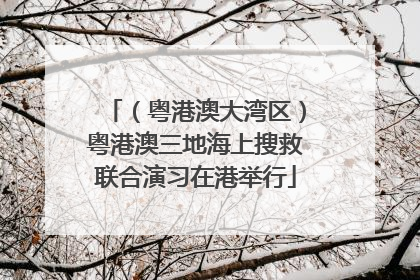 （粤港澳大湾区）粤港澳三地海上搜救联合演习在港举行