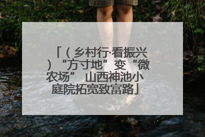 （乡村行·看振兴）“方寸地”变“微农场” 山西神池小庭院拓宽致富路