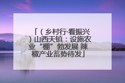 （乡村行·看振兴）山西天镇：设施农业“棚”勃发展 辣椒产业蓄势待发