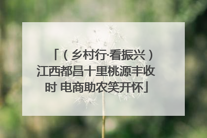 （乡村行·看振兴）江西都昌十里桃源丰收时 电商助农笑开怀