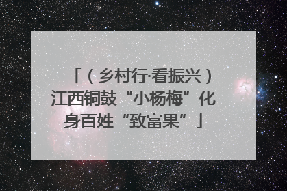 （乡村行·看振兴）江西铜鼓“小杨梅”化身百姓“致富果”