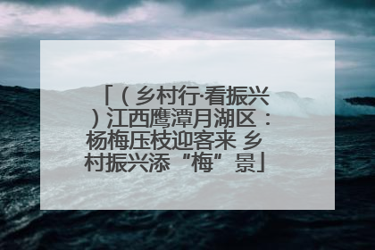 （乡村行·看振兴）江西鹰潭月湖区：杨梅压枝迎客来 乡村振兴添“梅”景