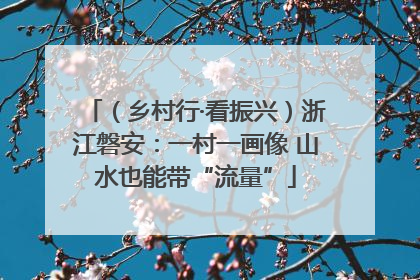 （乡村行·看振兴）浙江磐安：一村一画像 山水也能带“流量”