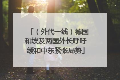 （外代一线）德国和埃及两国外长呼吁缓和中东紧张局势