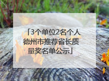 3个单位2名个人 德州市推荐省长质量奖名单公示