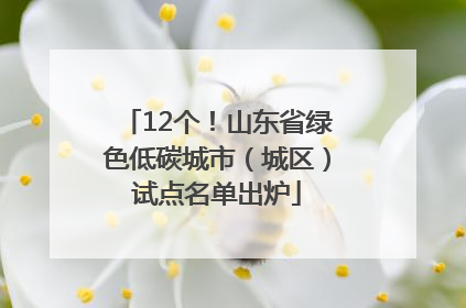 12个！山东省绿色低碳城市（城区）试点名单出炉