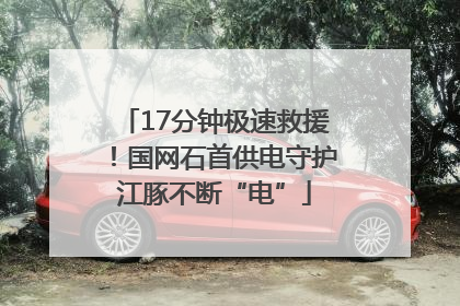 17分钟极速救援！国网石首供电守护江豚不断“电”