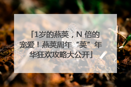 1岁的燕荚，N 倍的宠爱！燕荚周年“荚”年华狂欢攻略大公开