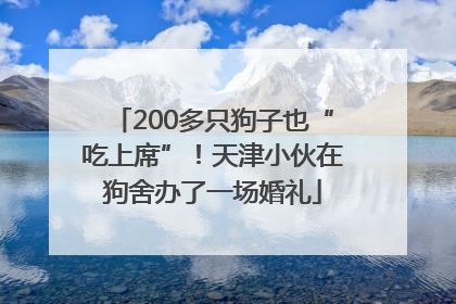 200多只狗子也“吃上席”！天津小伙在狗舍办了一场婚礼