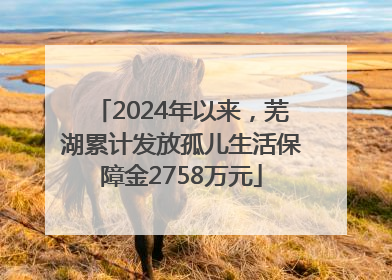2024年以来，芜湖累计发放孤儿生活保障金2758万元