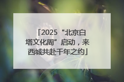 2025“北京白塔文化周”启动，来西城共赴千年之约