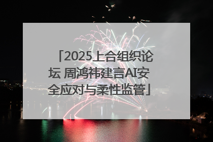 2025上合组织论坛 周鸿祎建言AI安全应对与柔性监管