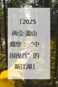 2025两会·萧山观察：“中国视谷”的新江湖