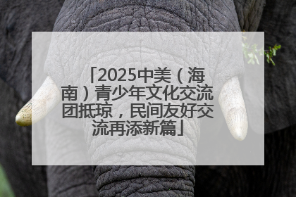 2025中美（海南）青少年文化交流团抵琼，民间友好交流再添新篇