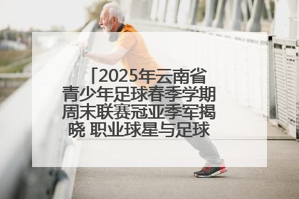 2025年云南省青少年足球春季学期周末联赛冠亚季军揭晓 职业球星与足球小将共享荣耀时刻