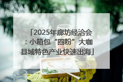 2025年廊坊经洽会：小箱包“圈粉”大咖 县域特色产业快速出海