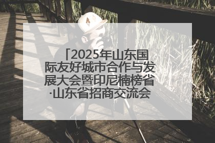 2025年山东国际友好城市合作与发展大会暨印尼楠榜省·山东省招商交流会在济南槐荫举行