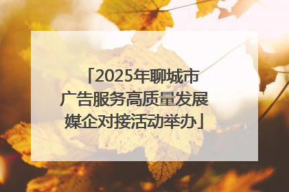 2025年聊城市广告服务高质量发展媒企对接活动举办