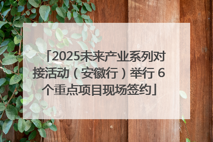 2025未来产业系列对接活动（安徽行）举行 6个重点项目现场签约