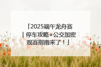 2025端午龙舟赛｜停车攻略+公交加密 观赛指南来了！