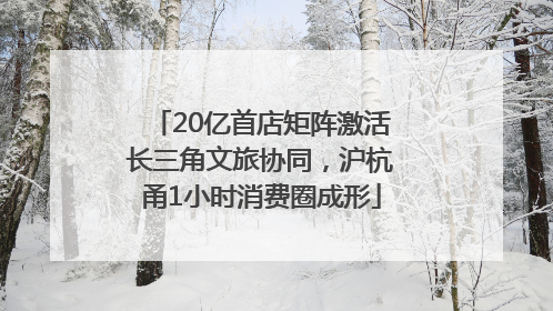 20亿首店矩阵激活长三角文旅协同，沪杭甬1小时消费圈成形