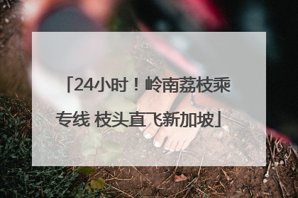 24小时！岭南荔枝乘专线 枝头直飞新加坡