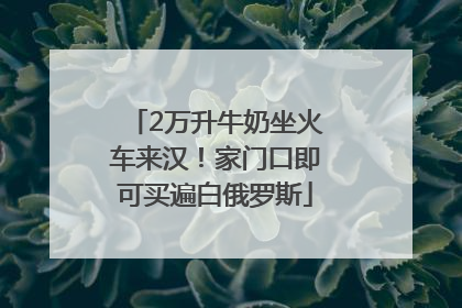 2万升牛奶坐火车来汉！家门口即可买遍白俄罗斯