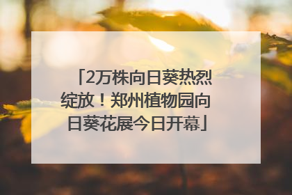 2万株向日葵热烈绽放！郑州植物园向日葵花展今日开幕