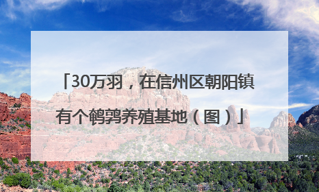 30万羽，在信州区朝阳镇有个鹌鹑养殖基地（图）