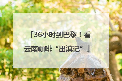 36小时到巴黎！看云南咖啡“出滇记”