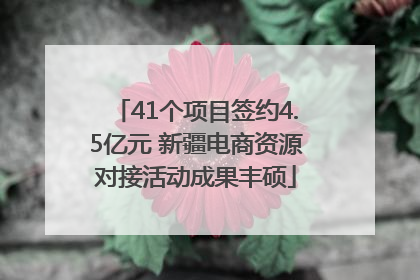41个项目签约4.5亿元 新疆电商资源对接活动成果丰硕