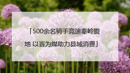500余名骑手竞速秦岭腹地 以赛为媒助力县域消费