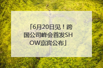 6月20日见！跨国公司峰会首发SHOW嘉宾公布