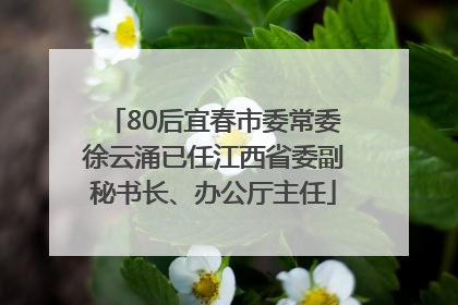 80后宜春市委常委徐云涌已任江西省委副秘书长、办公厅主任