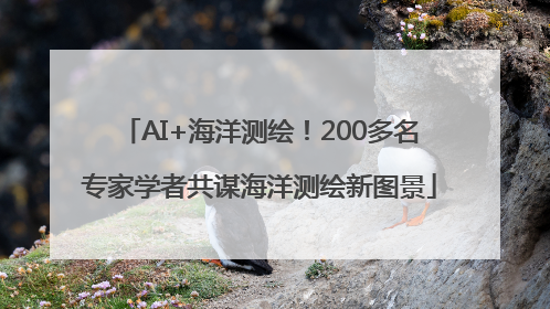 AI+海洋测绘！200多名专家学者共谋海洋测绘新图景